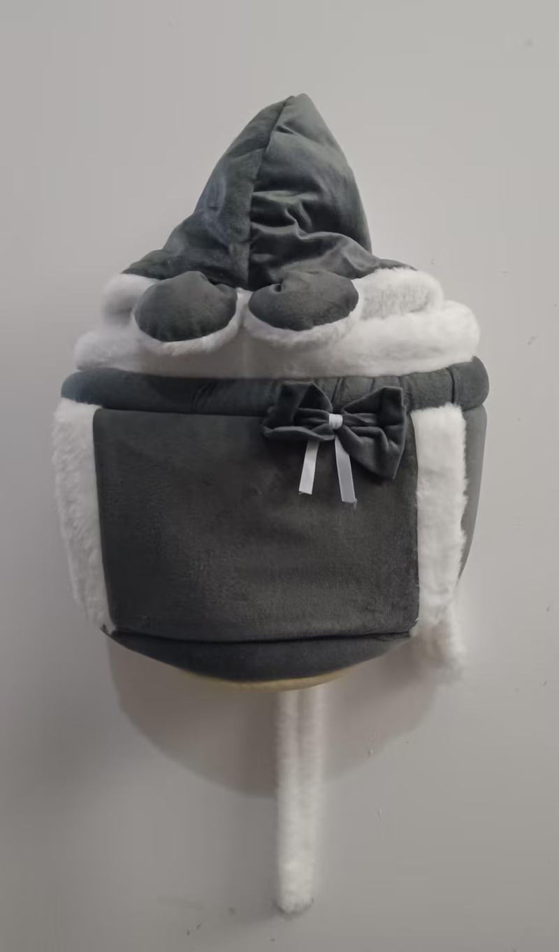 Cat Backpack For Going Out Indoor Cute