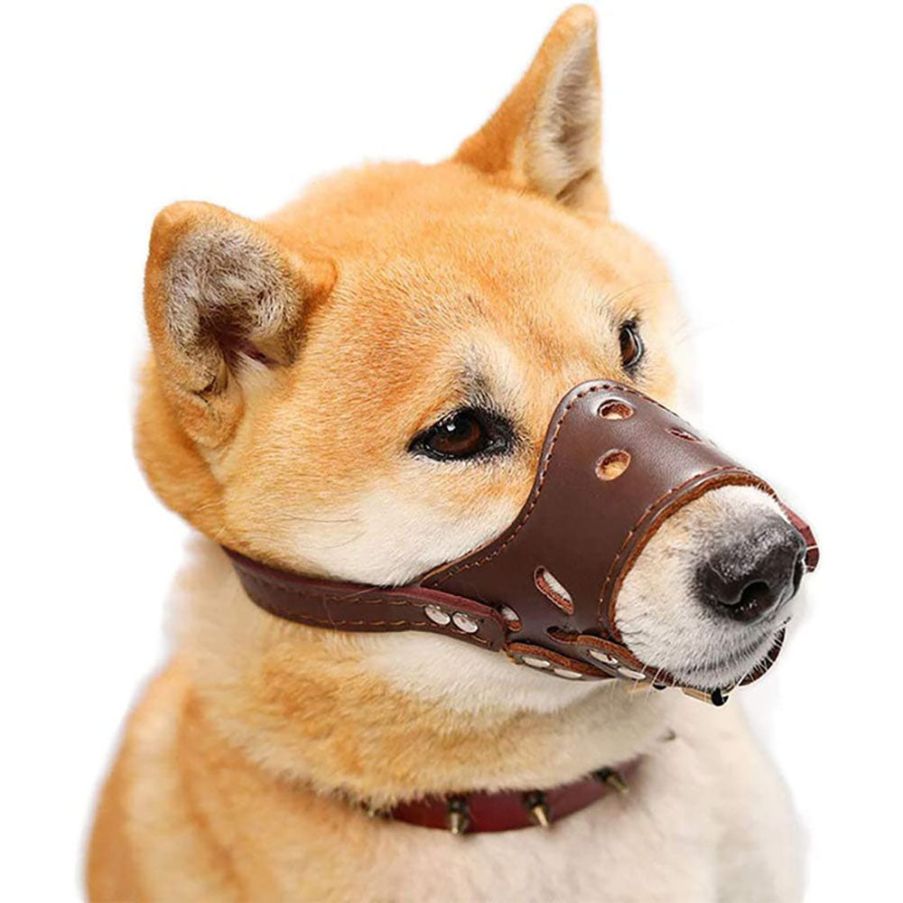 Dog Muzzle Leather, Comfort Secure Anti-Barking Muzzles