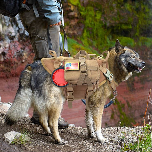 Malinois Large Dog Dog Hand Holding Rope Chest Vest Combat