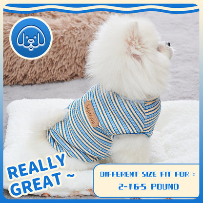 New Arrival Cooling Vest For Dog Designer Dog Clothes