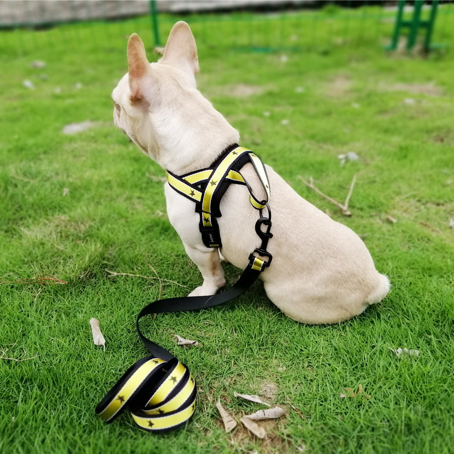 Chest band for medium and large dogs