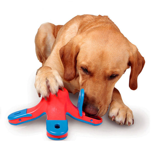 Volcano Treasure Hunting Dog Toy