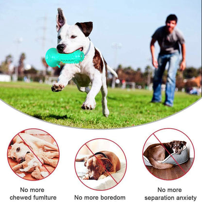 Different Functions Interactive Balls For Dogs Squeaky Dog Balls