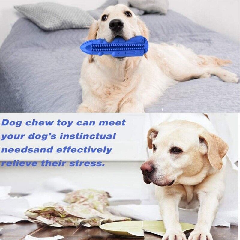 Pet Dog Chew Toy Toothbrush Teeth Cleaning Molar Rubber Squeaky Interactive Dog Toy Food Dispenser Ball Dog Chew Toys Dog Toy Food Dispenser Pet Molar Tooth Cleaning