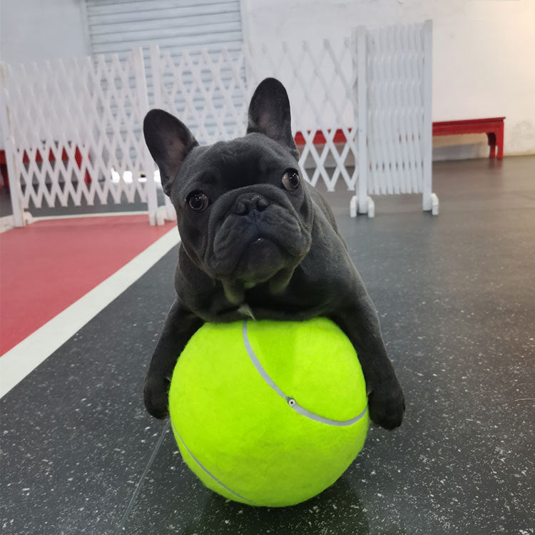 Tennis Pet Toy Inflatable Training Rubber Big Ball