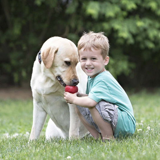 Pet Supplies Gourd Bite-resistant Food Leakage Rubber Dog Toy