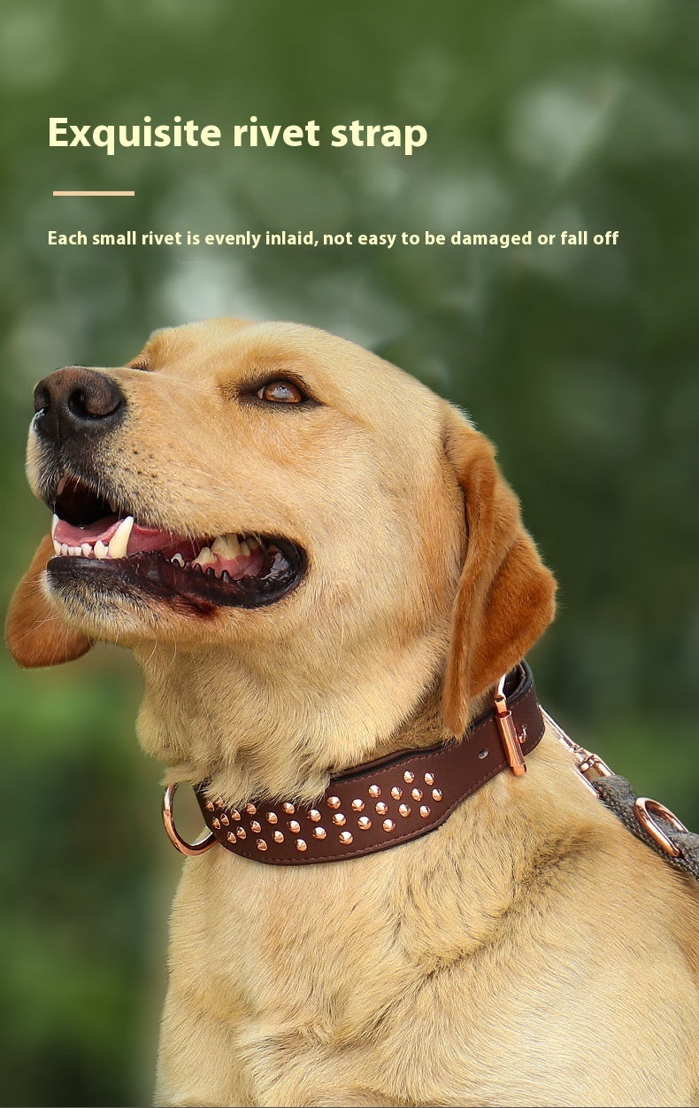 Dog Rivet Collar Anti-bite