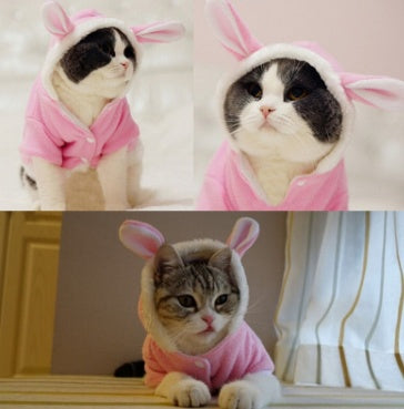 Pet Cat Clothes Mascotas Costume Clothes For Pet Hoodies