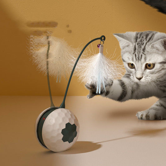Enjoying Electric Intelligent Bite Resistant Cat Toys Pet Products