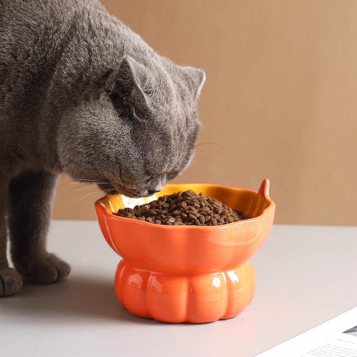 Ceramic Raised Cat Food Bowl Pink Elevated Dish