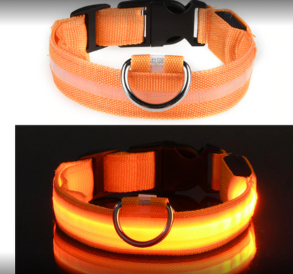 Fiber Optic Waterproof Magnetic Charging Pet Collar