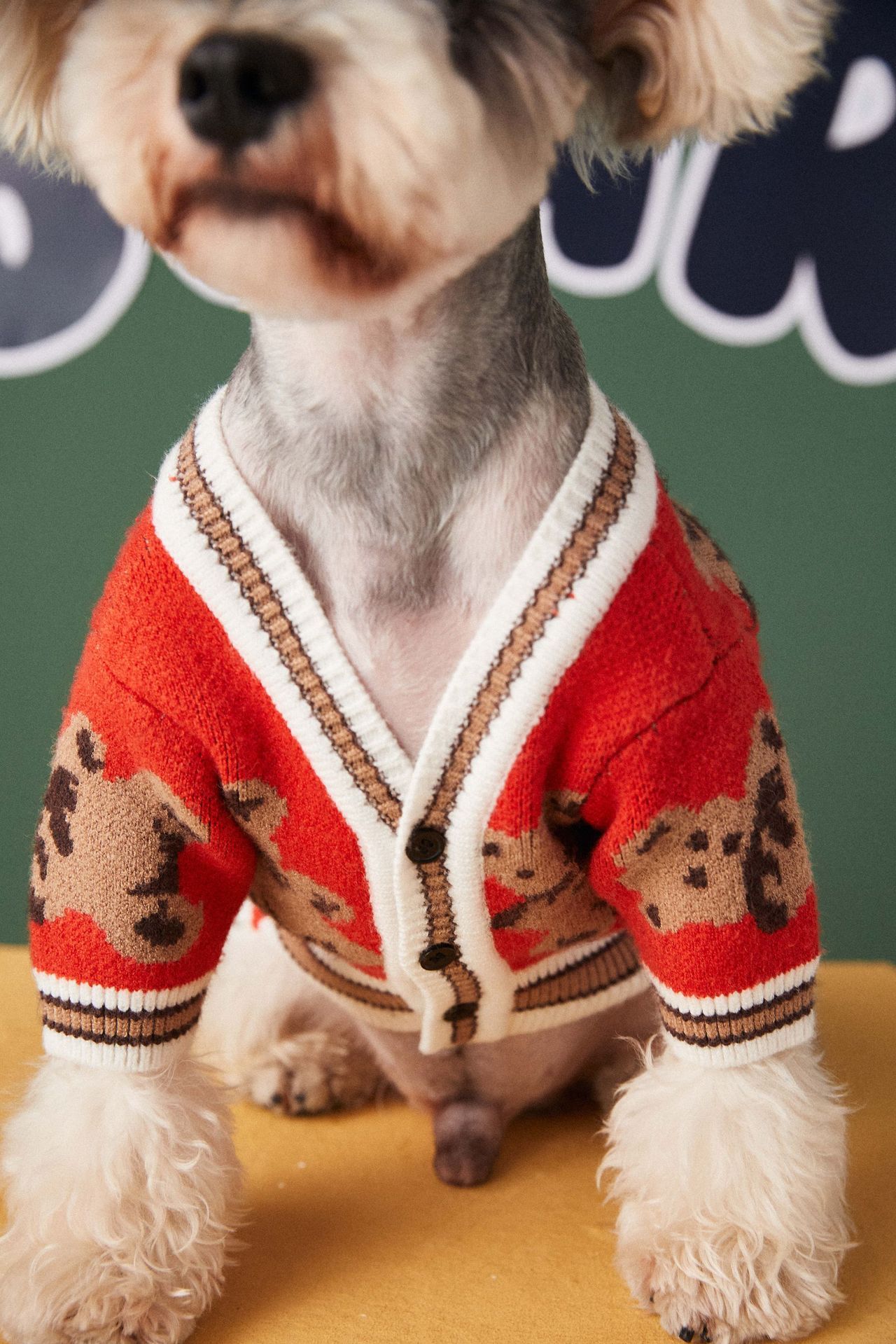 Dog Cat Sweater Preppy Style V-neck Striped Vest