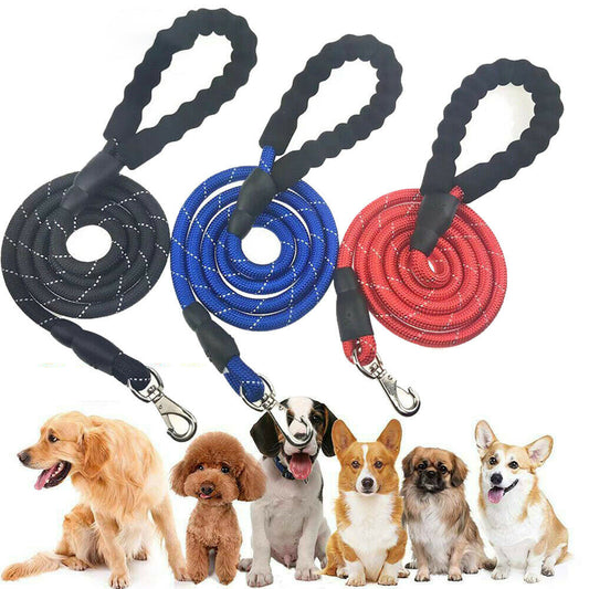 Dogs Leash Running Elasticity Hand Freely Pet Products