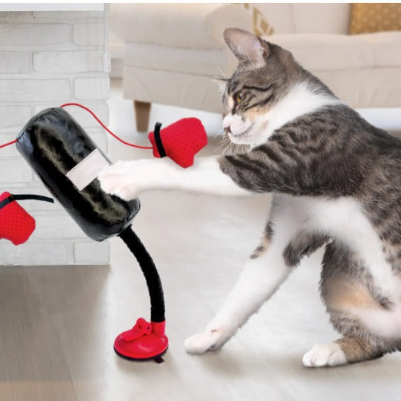 Portable Cat Punching Bag Toy Interactive Indoor Cats Toy