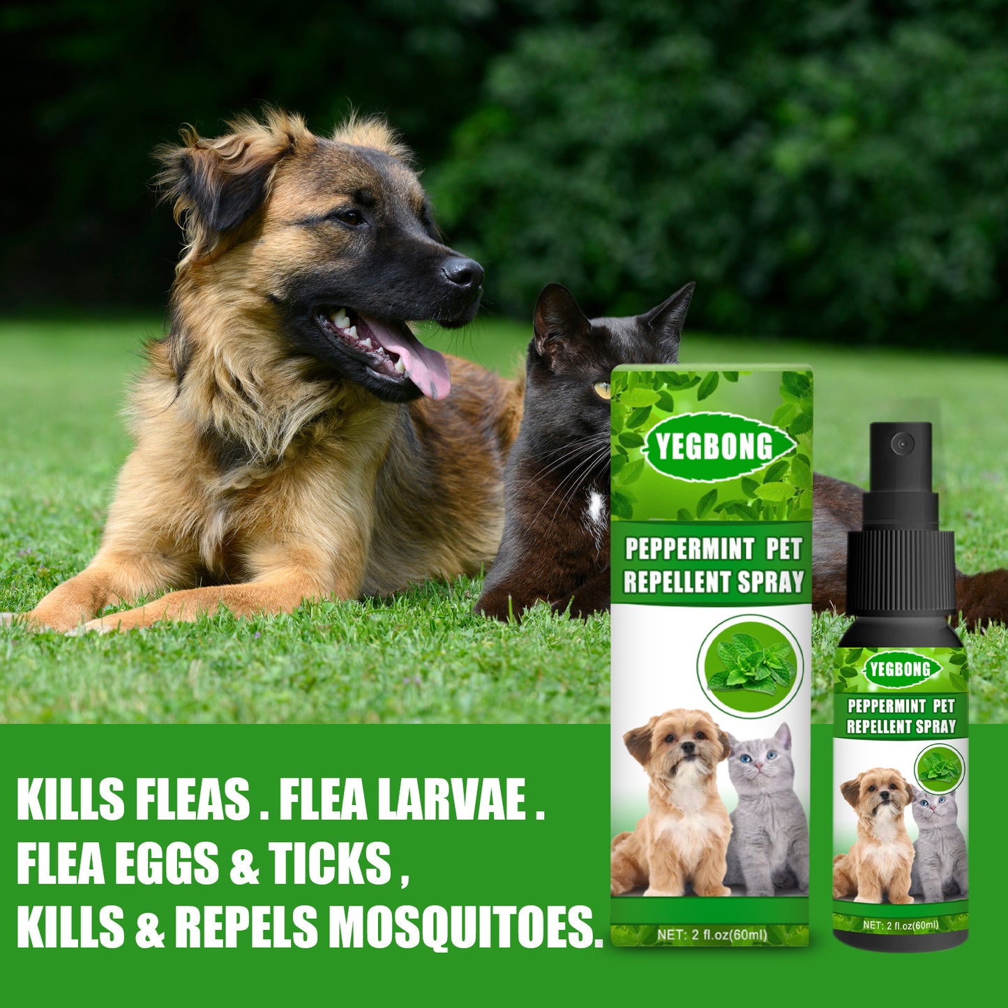 Mint Pet Dog Acarus Killing Fungus Dogs And Cats Spray