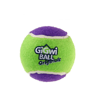 Dog Outdoor Tour Training Picking Club