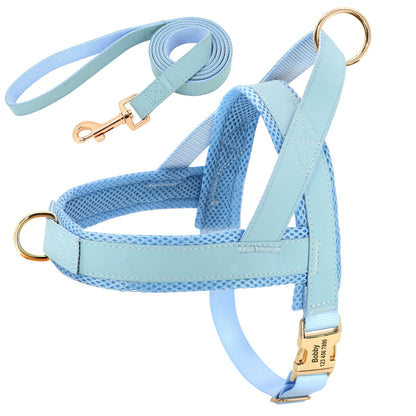 Personalized Dog Harness Leash Set