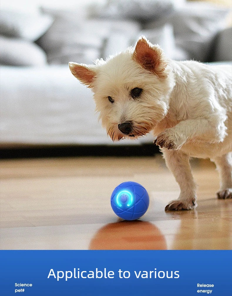 Smart Dog Toys Ball Electronic Interactive Pet Toy Moving Ball