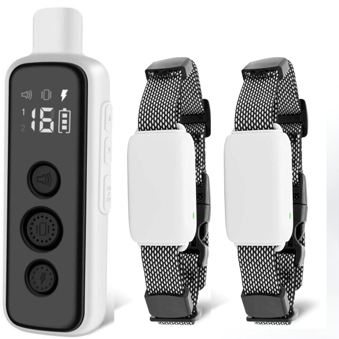 Rechargeable Electric Training Remote Collar Small Medium Large Dog