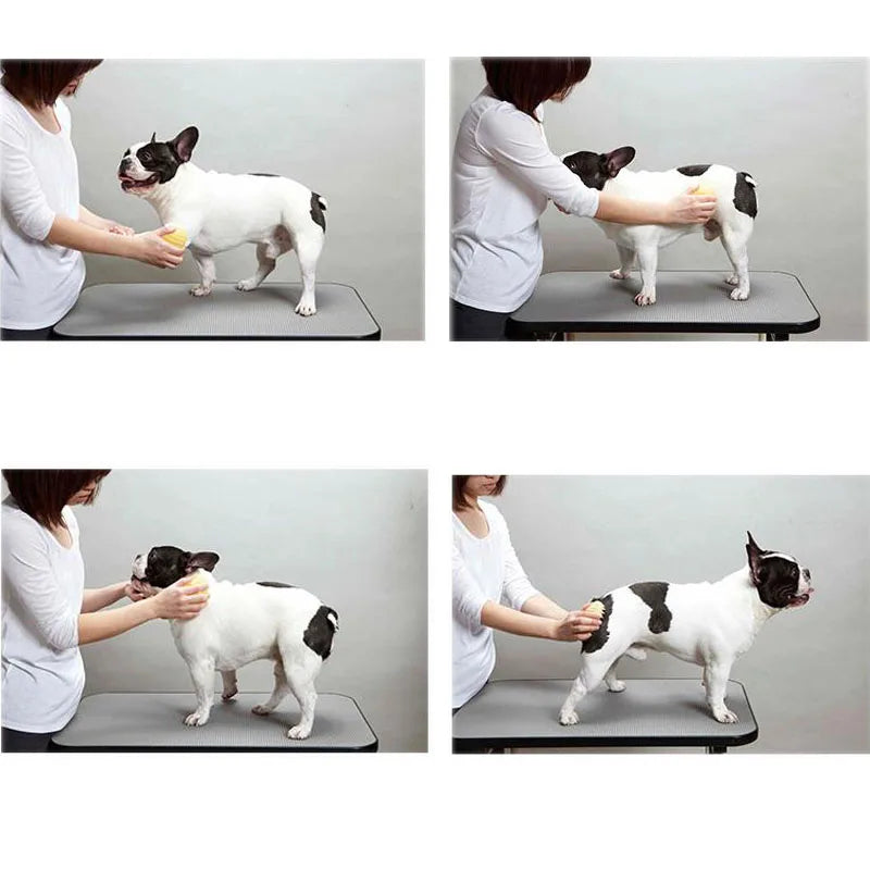 Pet Products For Dog Cat Massage Brush Combs Cleaner