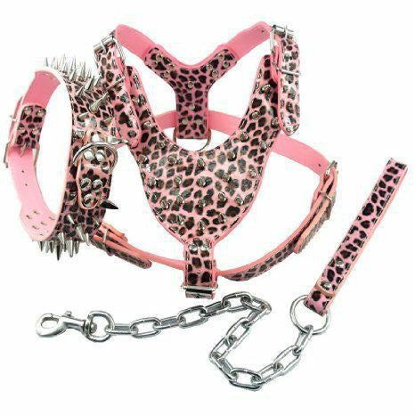 Rivet Bullet Chest Strap Type Tow Rope Collar Three-piece