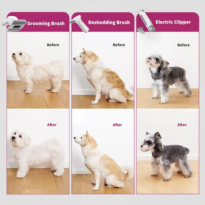 Grooming Vacuum Kit with High Performance Vacuum Suction for Cat And Dog Shedding