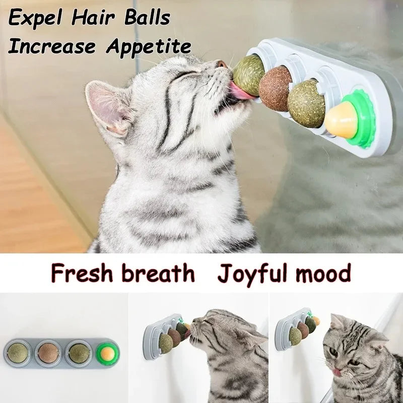 4 in 1 Rotating Catnip Silver Vine Ball Teeth Cleaning