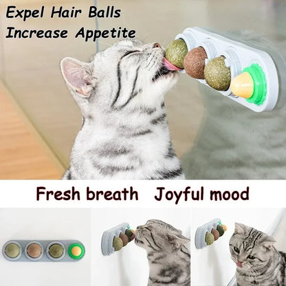 4 in 1 Rotating Catnip Silver Vine Ball Teeth Cleaning