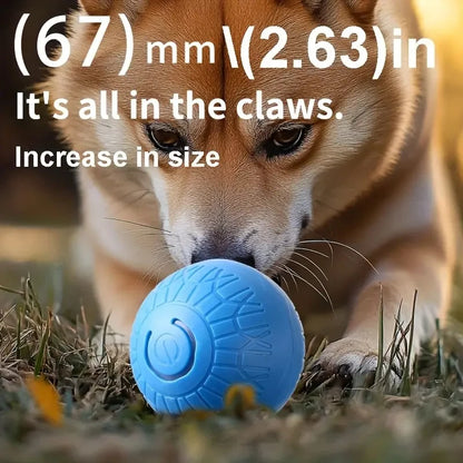 Smart Dog Toy Ball Automatic Interactive Pet Chew Toy