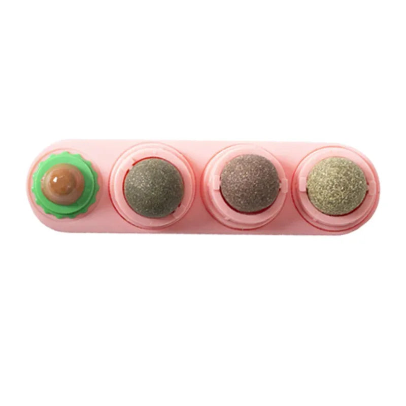 4 in 1 Rotating Catnip Silver Vine Ball Teeth Cleaning