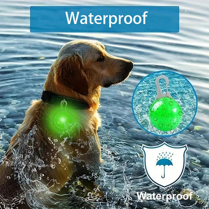 LED Pet Dog Collar USB/Battery Luminous Night Light Collar