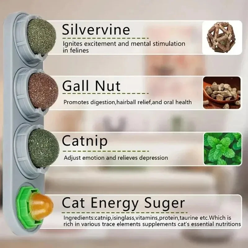 4 in 1 Rotating Catnip Silver Vine Ball Teeth Cleaning