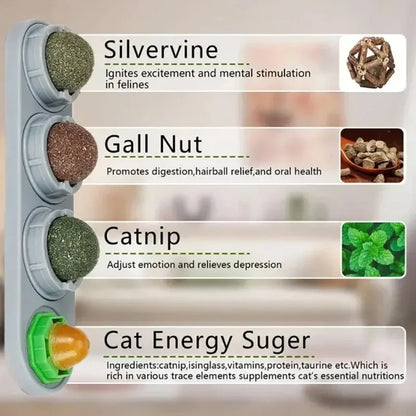 4 in 1 Rotating Catnip Silver Vine Ball Teeth Cleaning