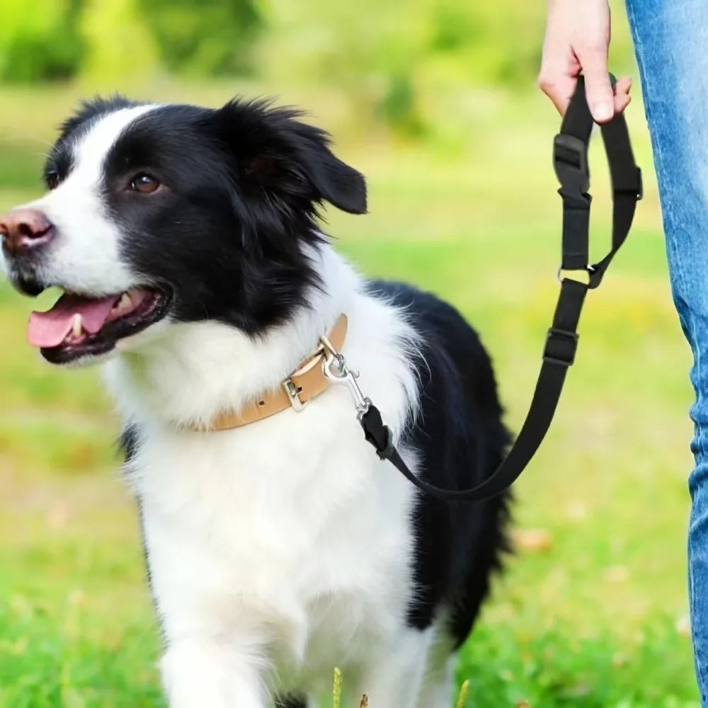 Pet Car Seat Belt, Nylon Leash, Rear Seat Belt