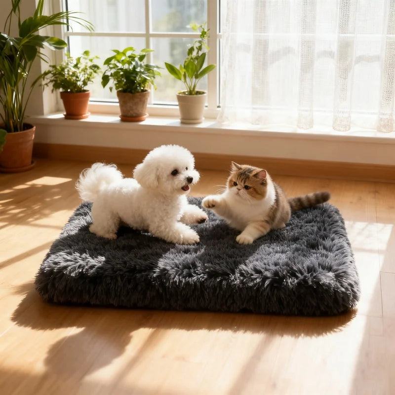 Dog Bed Super Soft Plush Cat Beds for Small Medium Large Dogs Removable