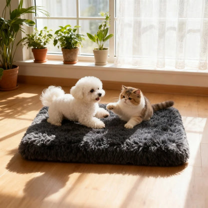 Dog Bed Super Soft Plush Cat Beds for Small Medium Large Dogs Removable