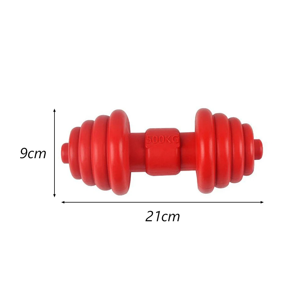 Safe Rubber Big Dog Toys for Aggressive Chewers Playing