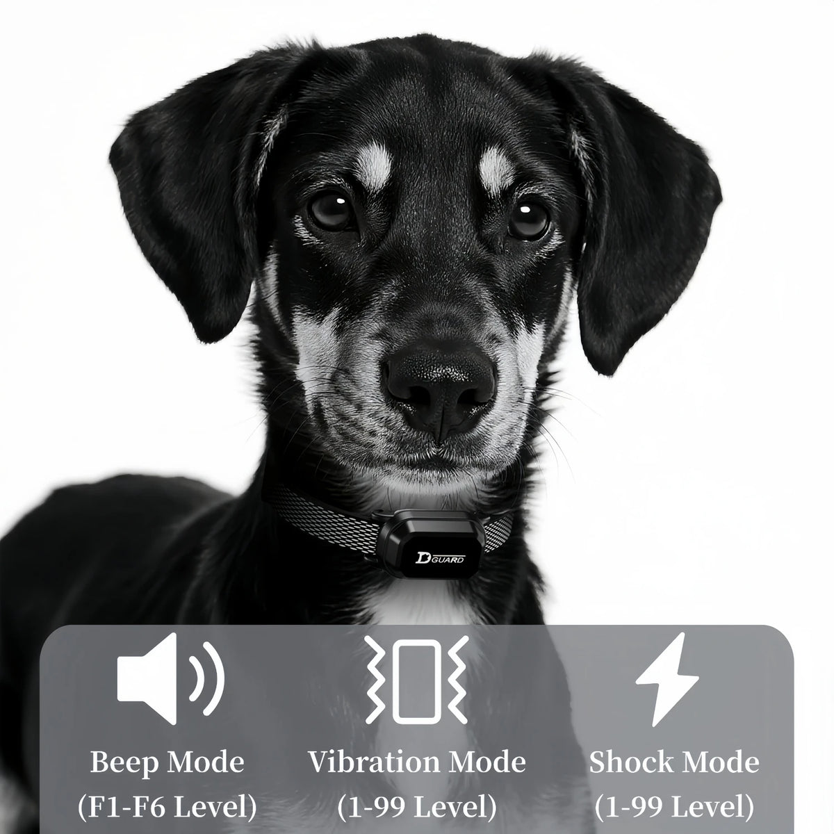 3300FT Electric Dog Training Collar Remote Control Anti-barking