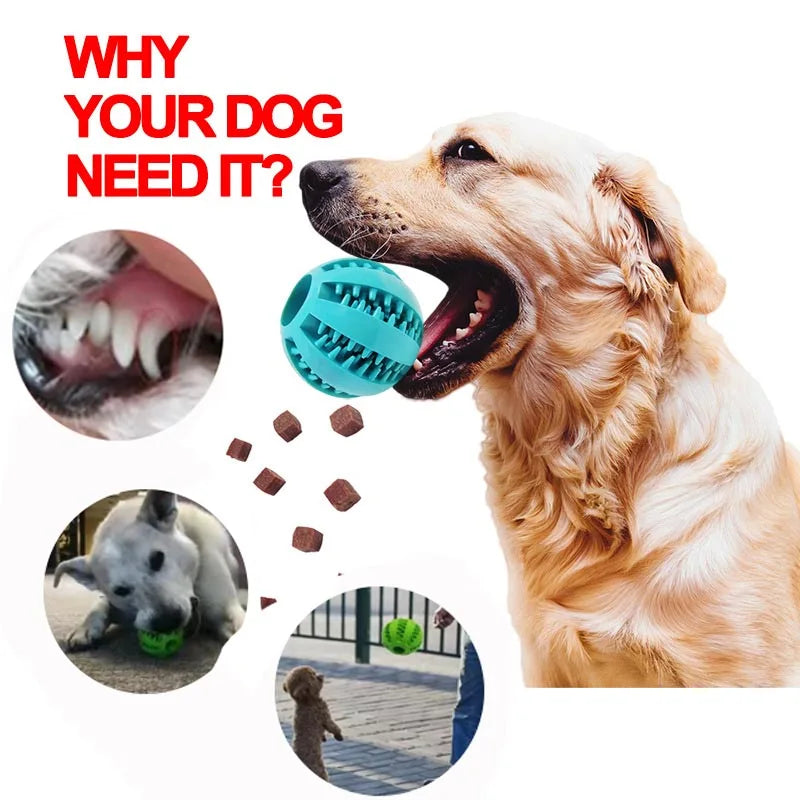 Soft Pet Dog Toys Toy Funny Interactive Elasticity Ball