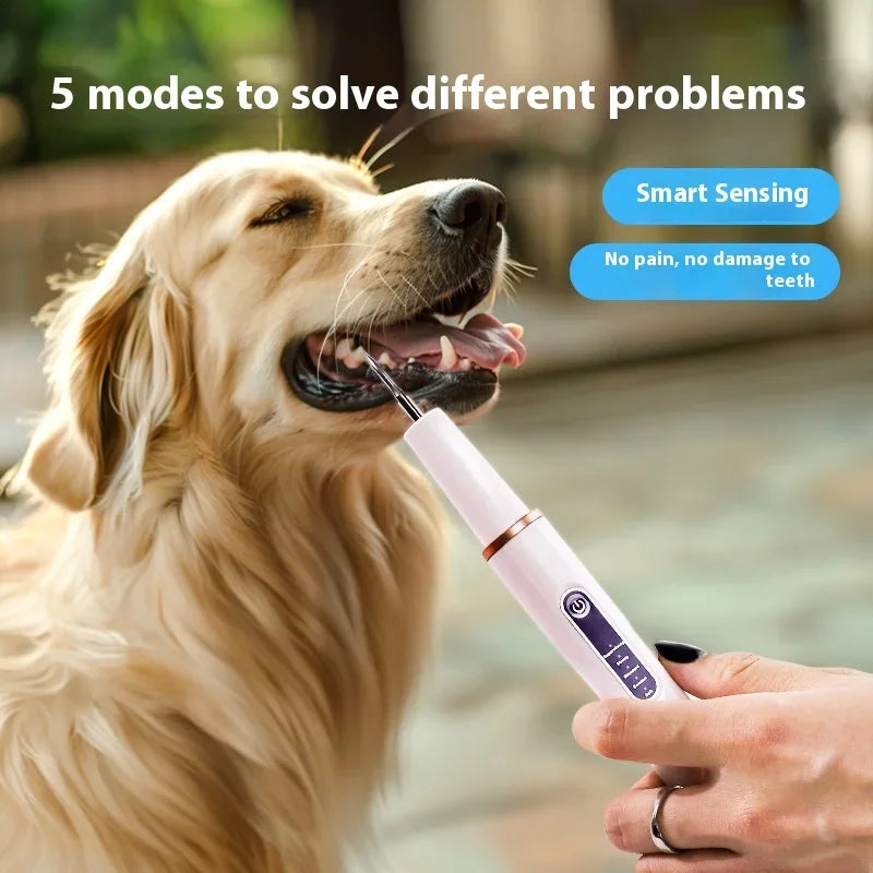 Dog Cat Grooming Smart Dental Ultrasonic Scaler Household Tooth Stone