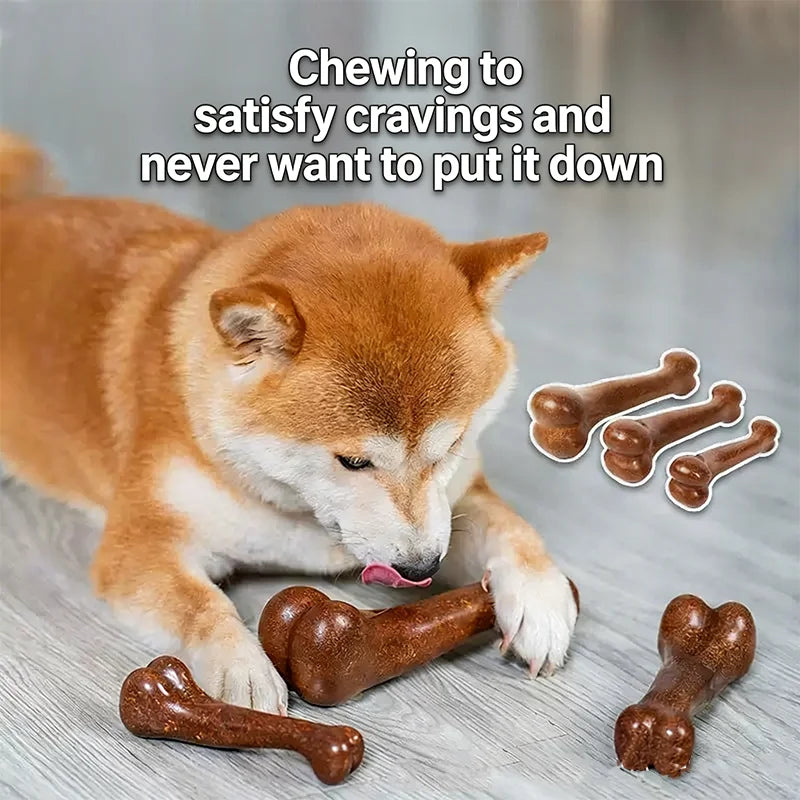 Natural Non-Toxic Indestructible Dog Bone Chew Toy