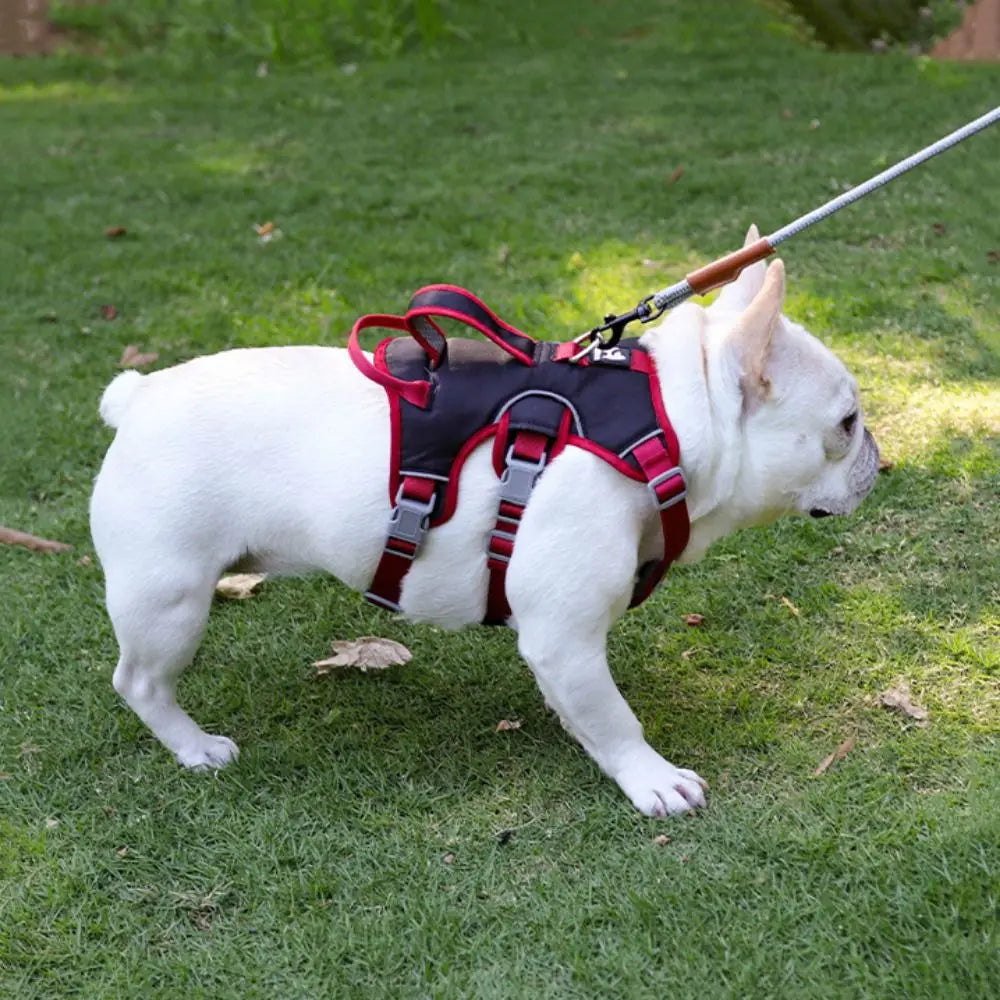 Adjustable Reflective Puppy Chest Strap Oxford Breathable Dog Harness