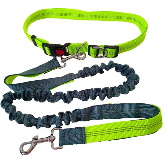 Hand Free Dog Leash Adjustable Dog Leash Waist Belt