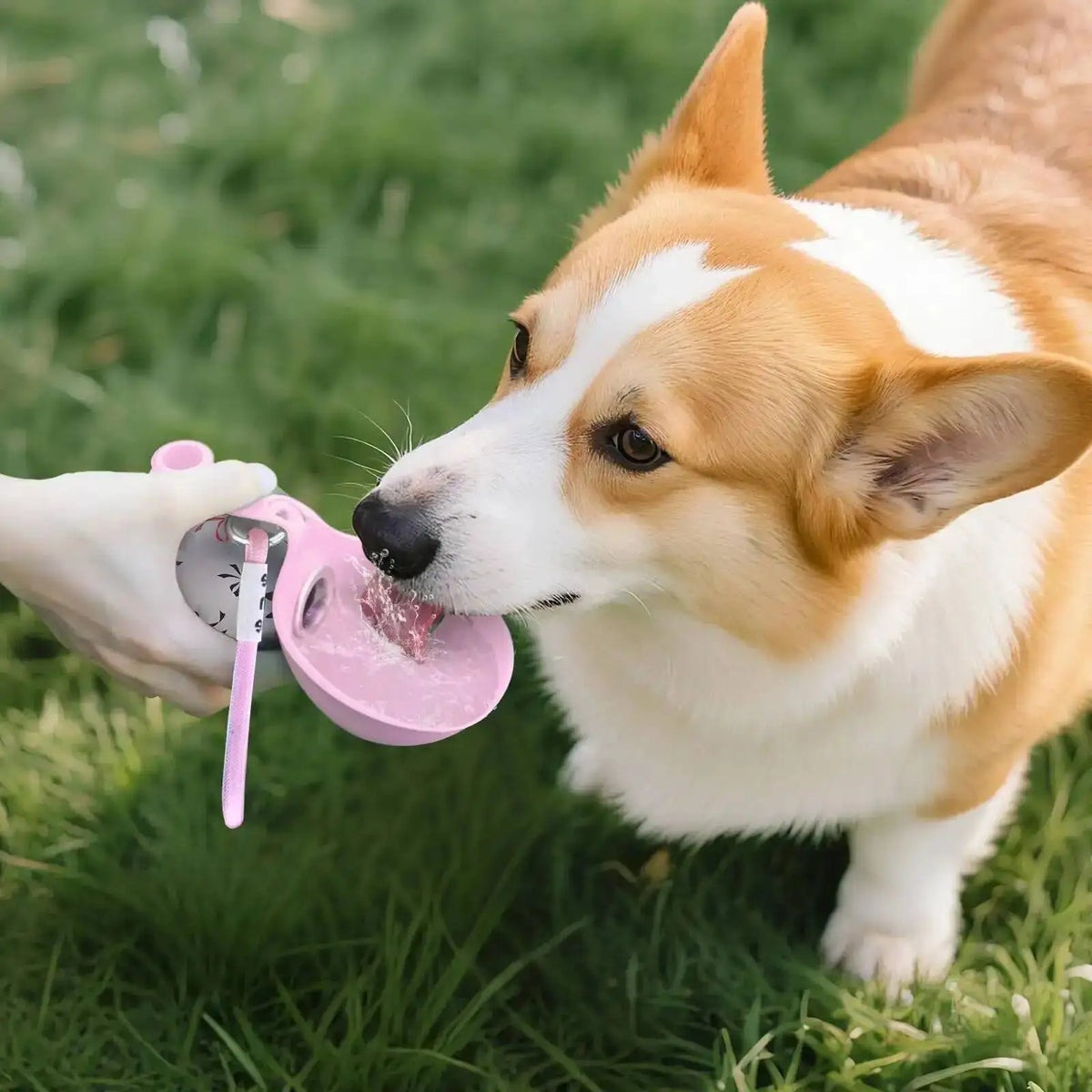 Dog Water Bottle for Small Dogs - Leak-Proof & Compact