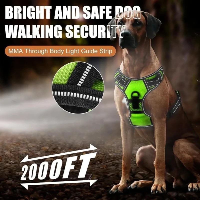 LED Glowing Luminous Dog Harnesses Essential for Dog Walking Safety