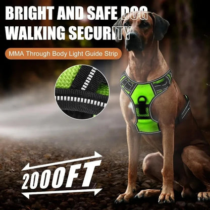 LED Glowing Luminous Dog Harnesses Essential for Dog Walking Safety
