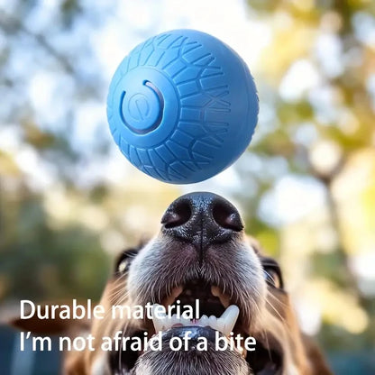 Smart Dog Toy Ball Automatic Interactive Pet Chew Toy