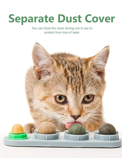 4 in 1 Rotating Catnip Silver Vine Ball Teeth Cleaning