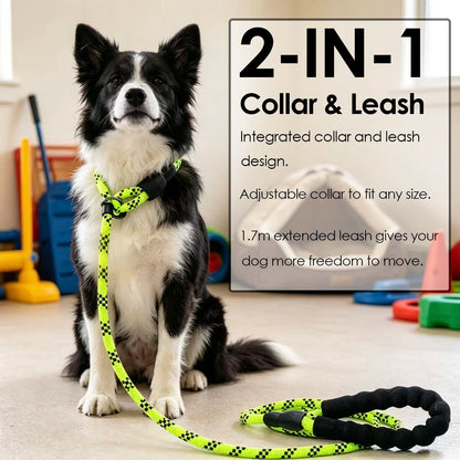 Slip Rope Dog Leash Training 1.7M Adjustable Loop Collar
