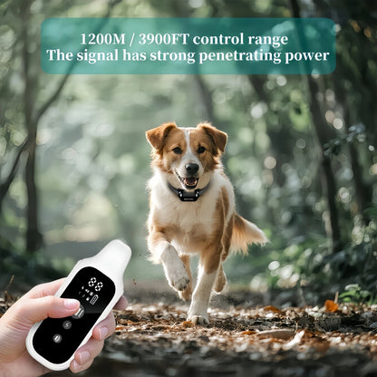 800m Digital Dog Training Collar Waterproof Rechargeable